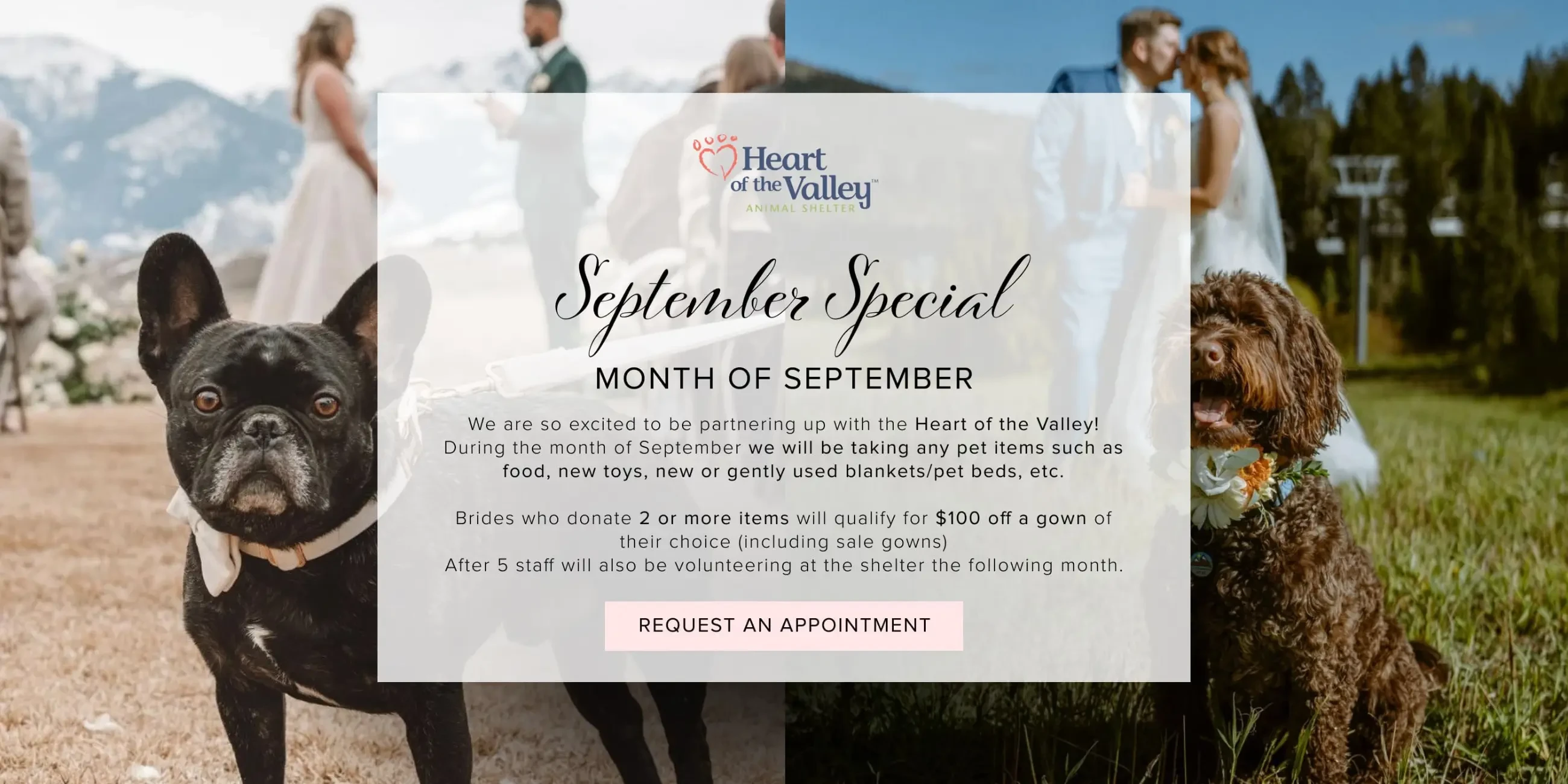September Special at After 5 Bridal & Gentleman Jacks